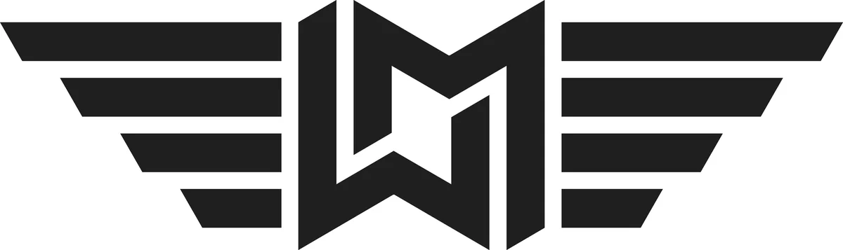 Wingman discs